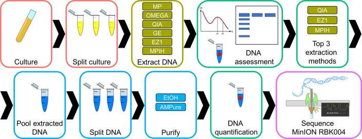 Evaluation of five commercial DNA extraction kits using <i>Salmonella</i> as a model for implementation of rapid Nanopore sequencing in routine diagnostic laboratories.