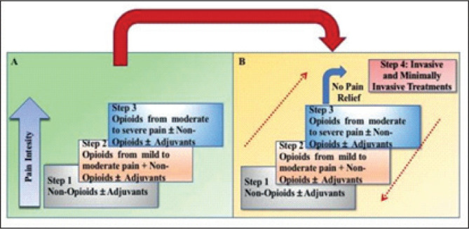 Multidisciplinary Approach to Cancer Pain Management.