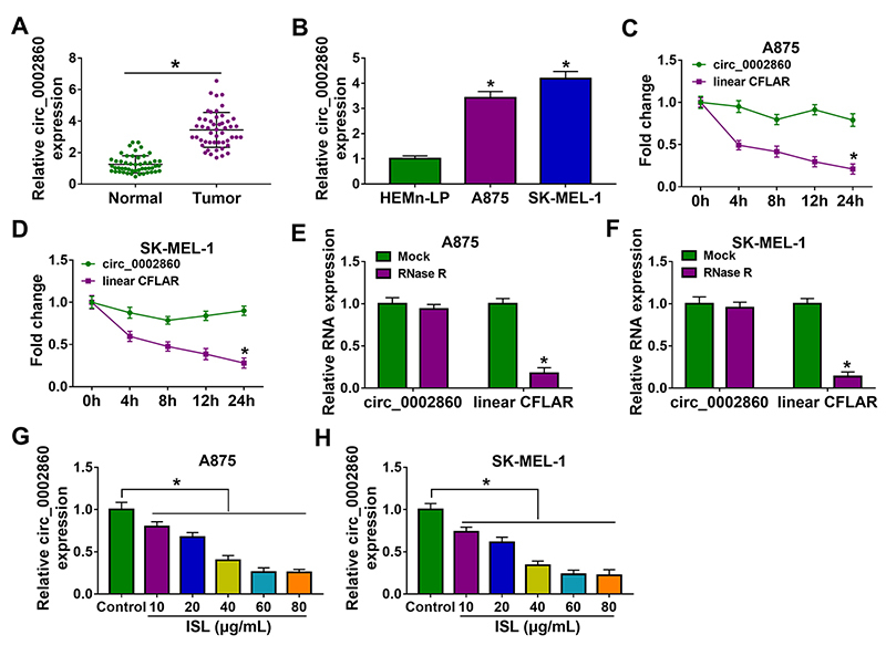 Isoliquiritigenin regulates the circ_0002860/miR-431-5p/RAB9A axis to function as a tumor inhibitor in melanoma.