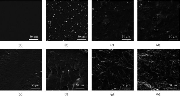 Sugarcane Bagasse-Derived Cellulose Nanocrystal/Polyvinyl Alcohol/Gum Tragacanth Composite Film Incorporated with Betel Leaf Extract as a Versatile Biomaterial for Wound Dressing.