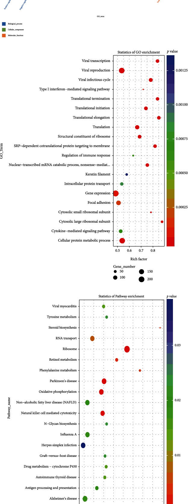 Bioinformatics Analysis of the Inflammation-Associated lncRNA-mRNA Coexpression Network in Type 2 Diabetes.