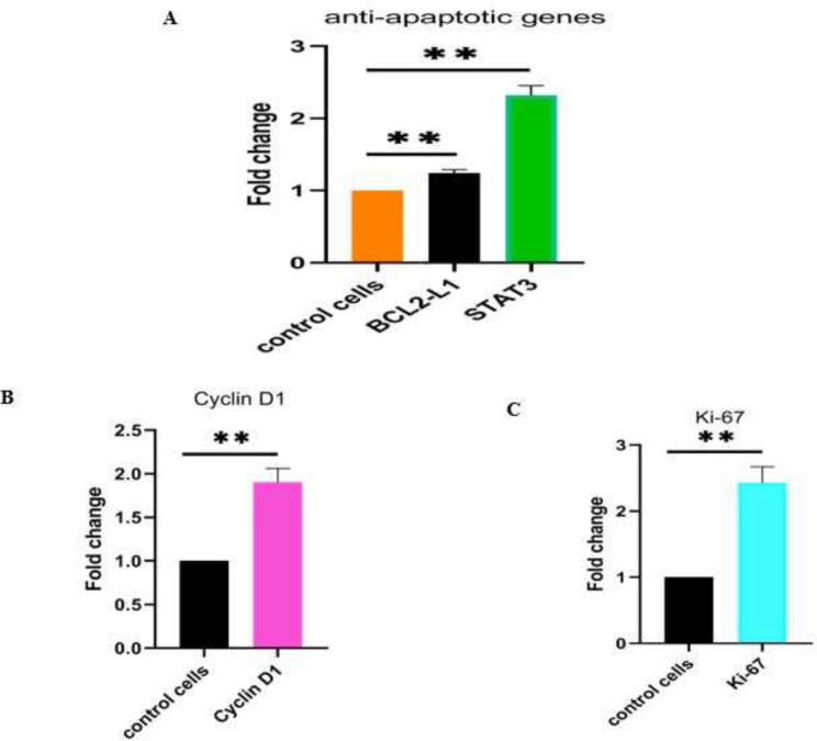 The SW480 cell line, overexpressing PIWIL2 gene, maintains the expression of stemness and proliferation genes in the mice xenografts.