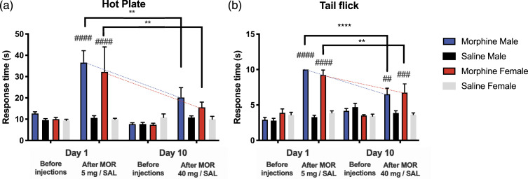 The effects of chronic high-dose morphine on microgliosis and the microglial transcriptome in rat spinal cord.