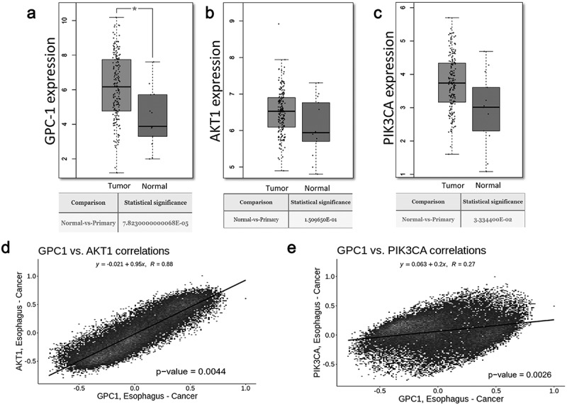 Silencing Glypican-1 enhances the antitumor effects of Pictilisib via downregulating PI3K/Akt/ERK signaling in chemo-resistant esophageal adenocarcinoma.