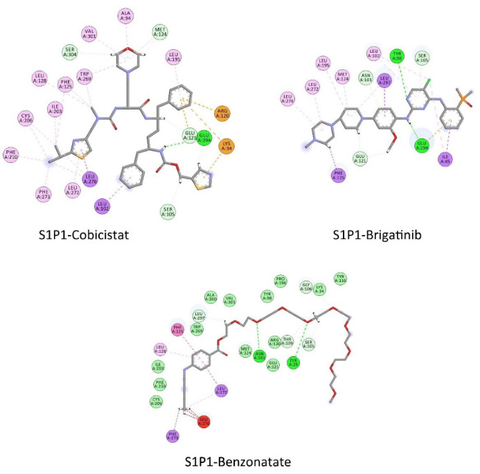 Drug Repurposing for Identification of S1P1 Agonists with Potential Application in Multiple Sclerosis Using In Silico Drug Design Approaches.