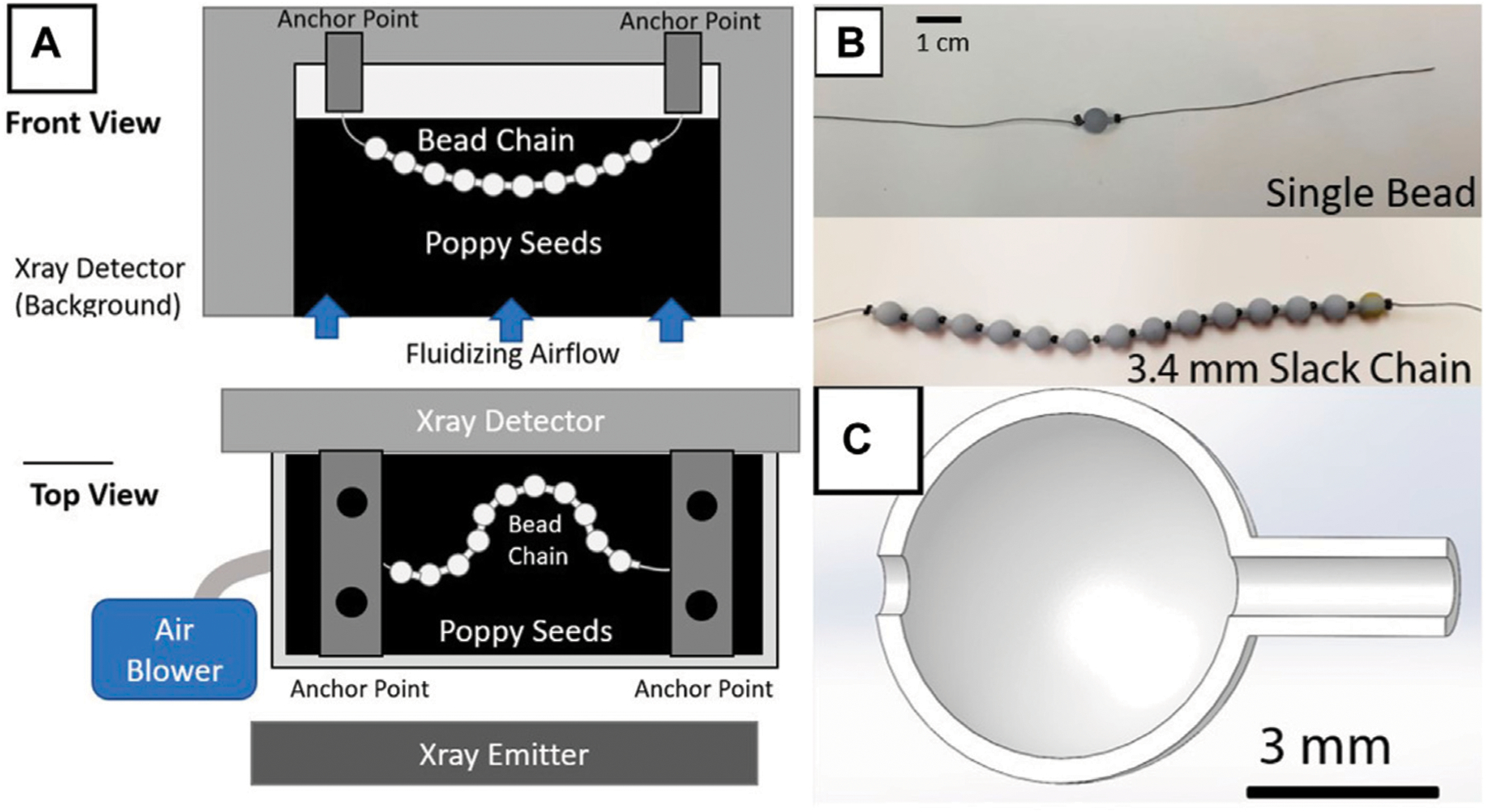 Toward a 3D physical model of diffusive polymer chains.