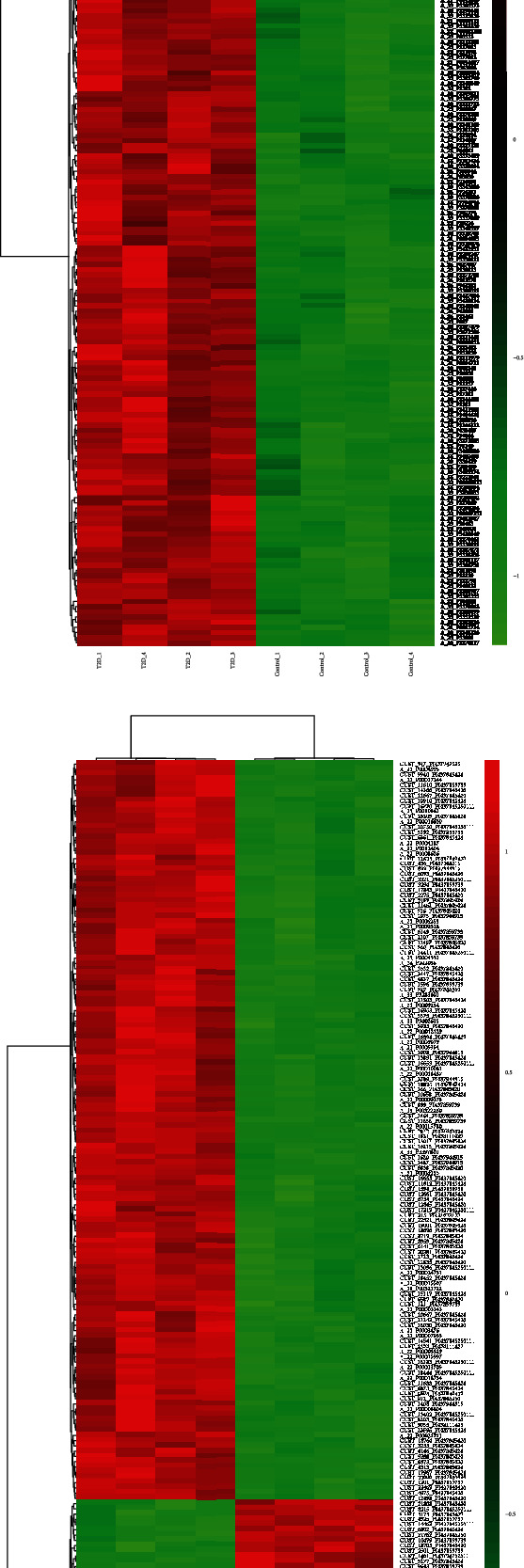 Bioinformatics Analysis of the Inflammation-Associated lncRNA-mRNA Coexpression Network in Type 2 Diabetes.