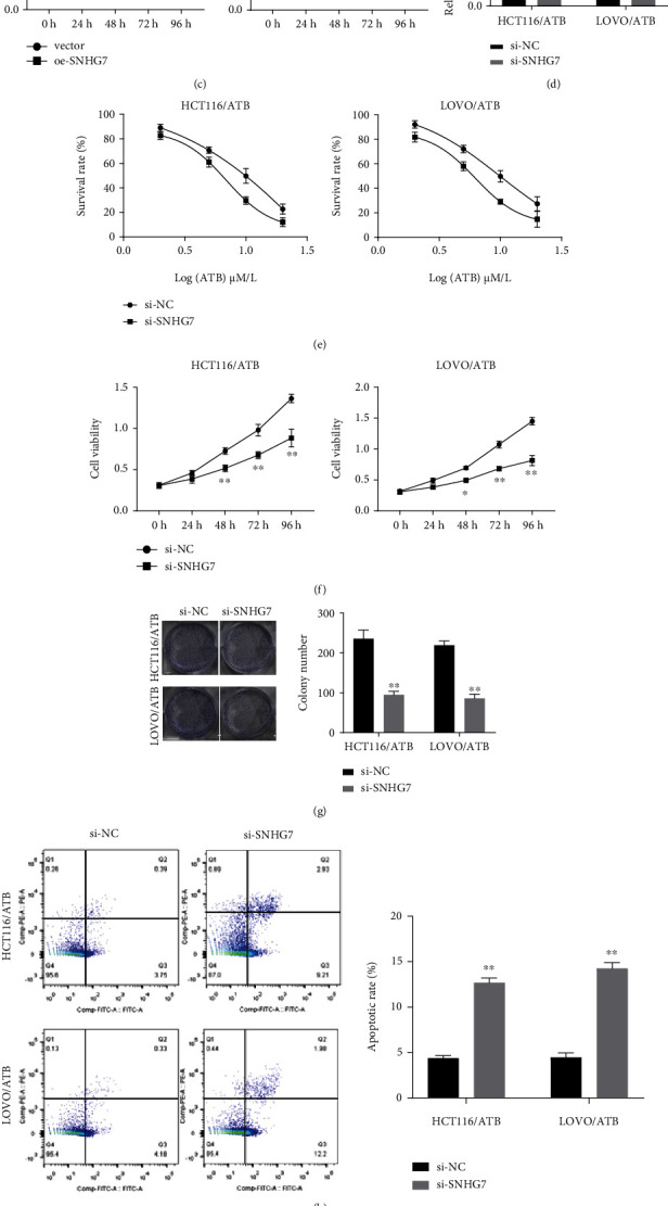 Downregulation of LncRNA SNHG7 Sensitizes Colorectal Cancer Cells to Resist Anlotinib by Regulating miR-181a-5p/GATA6.