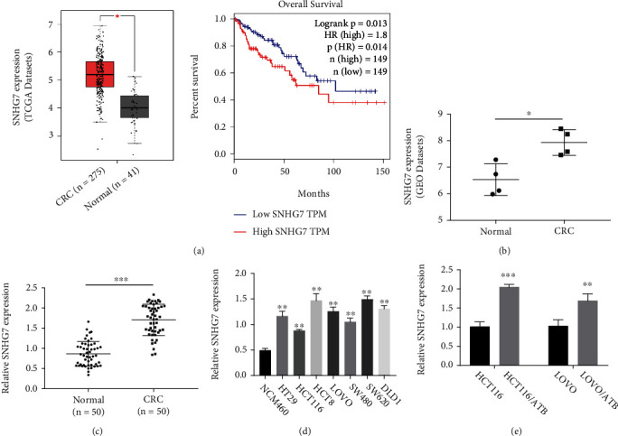 Downregulation of LncRNA SNHG7 Sensitizes Colorectal Cancer Cells to Resist Anlotinib by Regulating miR-181a-5p/GATA6.