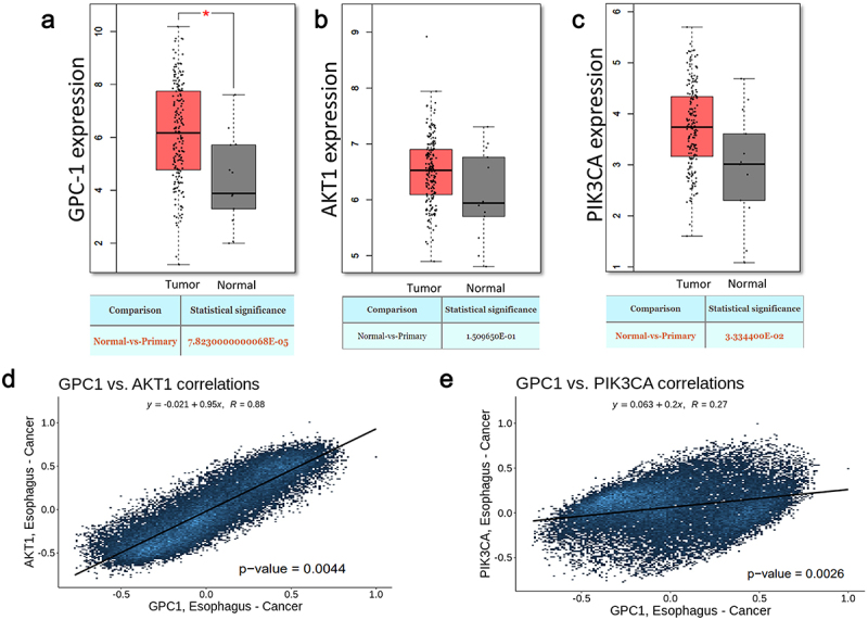 Silencing Glypican-1 enhances the antitumor effects of Pictilisib via downregulating PI3K/Akt/ERK signaling in chemo-resistant esophageal adenocarcinoma.