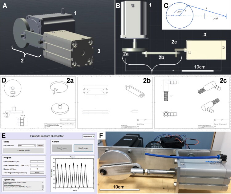 Pneumatic piston hydrostatic bioreactor for cartilage tissue engineering.