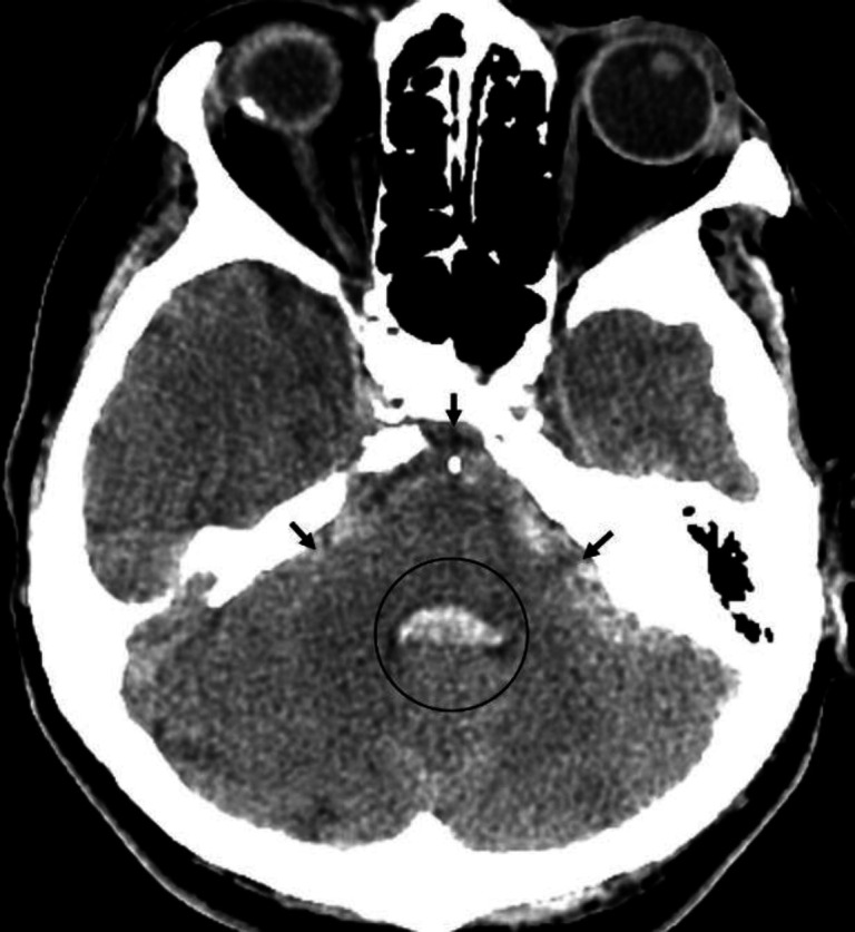 Sectional Anatomy Quiz-IΧ.