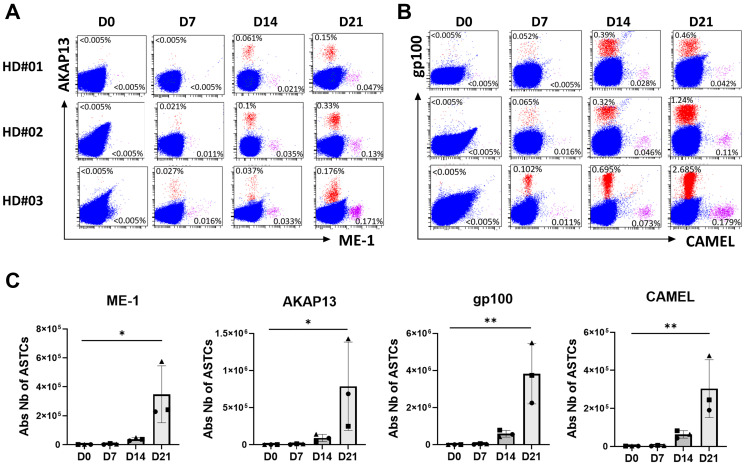 Leveraging a powerful allogeneic dendritic cell line towards neoantigen-based cancer vaccines.