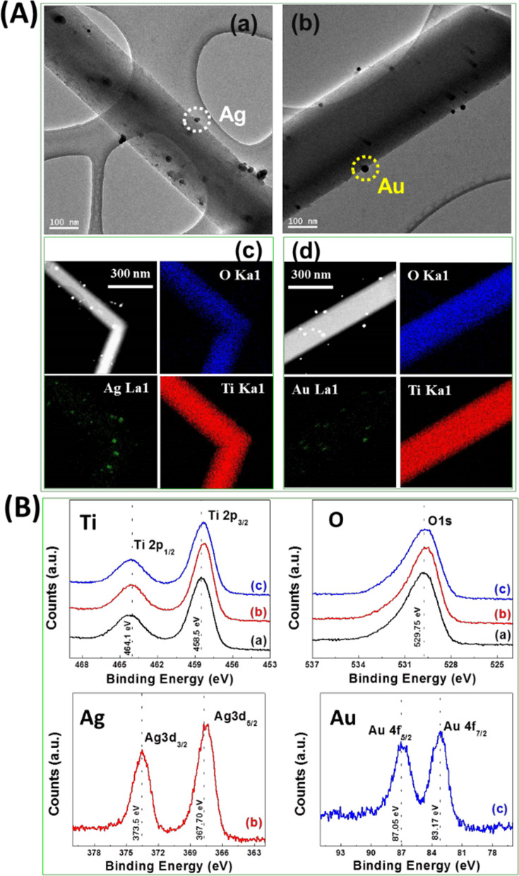 Inactivation of mammalian spermatozoa on the exposure of TiO<sub>2</sub> nanorods deposited with noble metals.