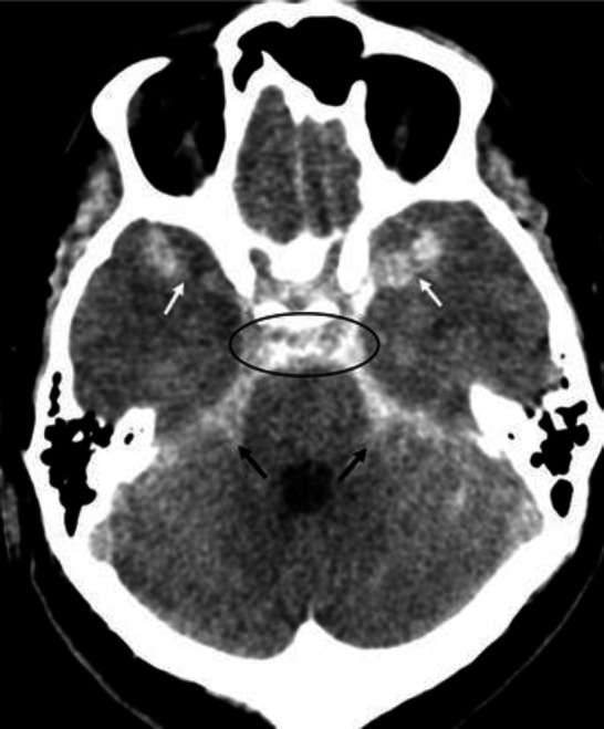 Sectional Anatomy Quiz-IΧ.