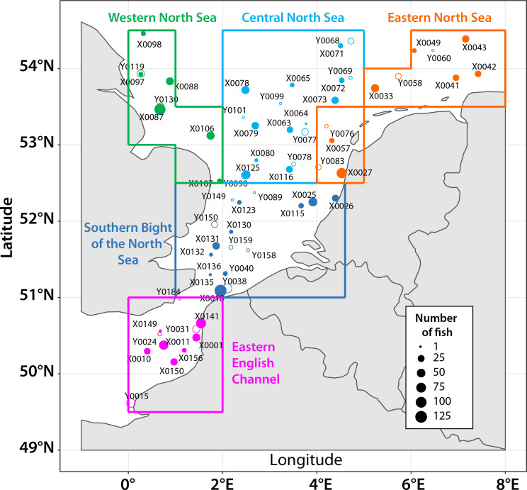 Black spot diseases in seven commercial fish species from the English Channel and the North Sea: infestation levels, identification and population genetics of Cryptocotyle spp.