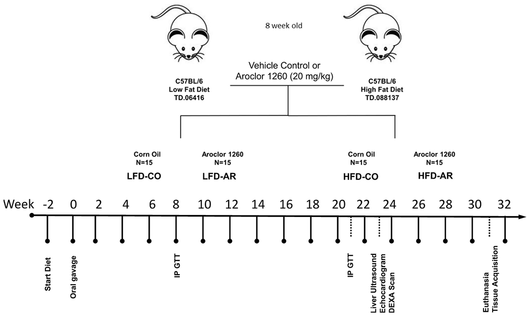 Investigating the effects of long-term Aroclor 1260 exposure on fatty liver disease in a diet-induced obesity mouse model.