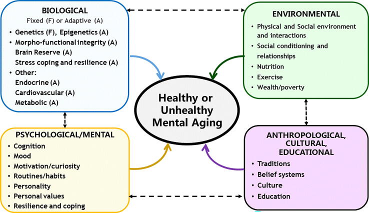 The aging mind: A complex challenge for research and practice