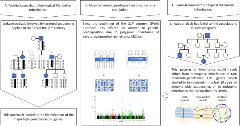 The complementary roles of genome-wide approaches in identifying genes linked to an inherited risk of colorectal cancer.