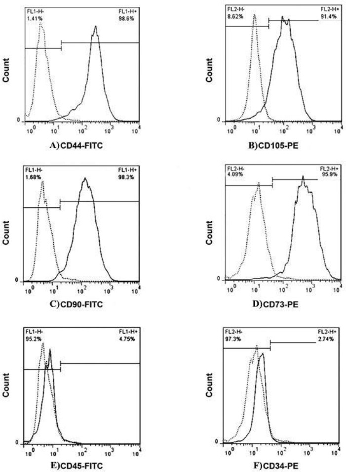 The Effect of Rosmarinic Acid on Neural Differentiation of Wartons Jelly-derived Mesenchymal Stem Cells in Two-dimensional and Three-dimensional Cultures using Chitosan-based Hydrogel.