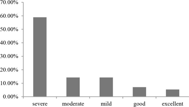 Prevalence of Anemia and its Relation with Shwachman Score in Children with Cystic Fibrosis.