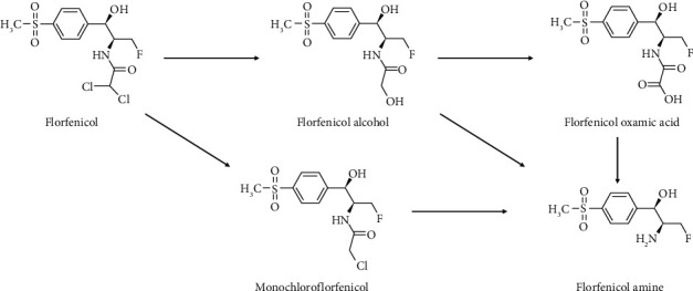 Florfenicol and Florfenicol Amine Quantification in Bull Serum and Seminal Plasma by a Single Validated UHPLC-MS/MS Method.