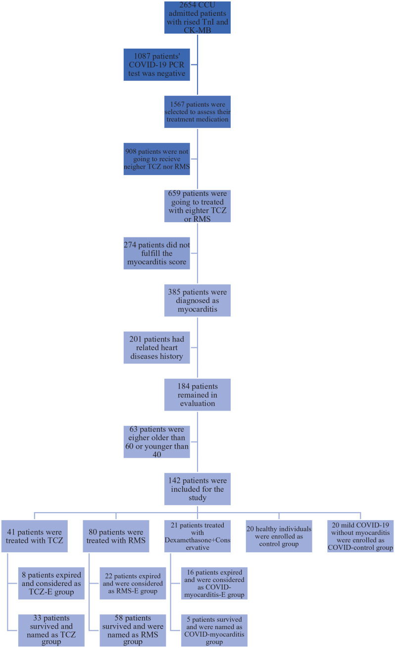 MiR-21 and Tocilizumab interactions improve COVID-19 myocarditis outcomes.