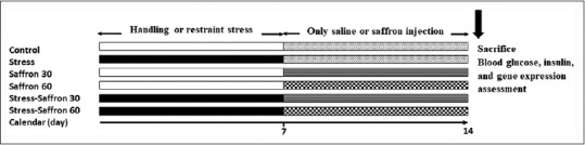 Effects of Aqueous Saffron Extract on Glucoregulation as Well as Hepatic Agt and TNF-α Gene Expression in Rats Subjected to Sub-Chronic Stress.