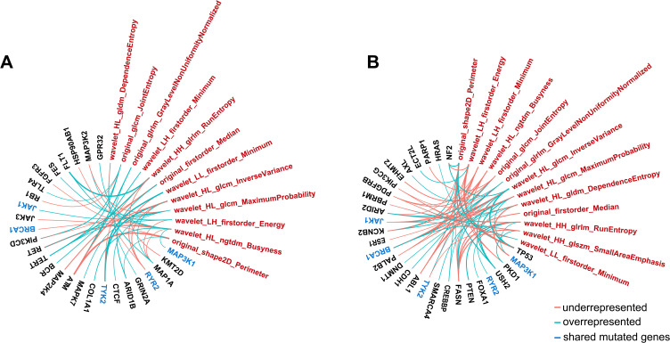 Unraveling the Pivotal Network of Ultrasound and Somatic Mutations in Triple-Negative and Non-Triple-Negative Breast Cancer.