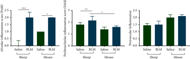 Comparative Study of Ectopic Lymphoid Aggregates in Sheep and Murine Models of Bleomycin-Induced Pulmonary Fibrosis.