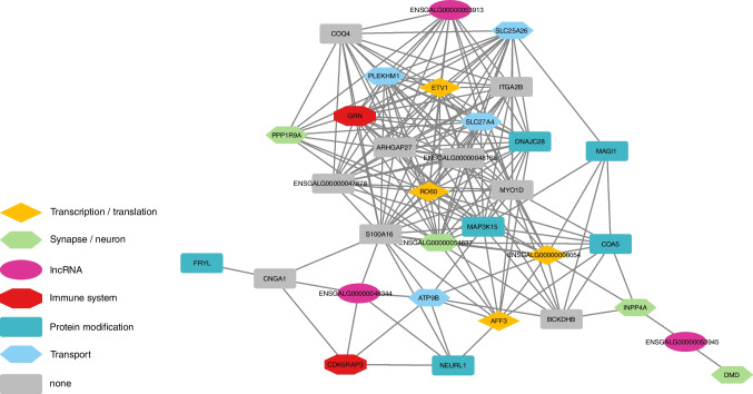 Structural variation and eQTL analysis in two experimental populations of chickens divergently selected for feather-pecking behavior.