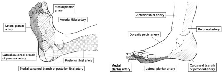 Fractures and dislocations of the foot and ankle in people with diabetes: a literature review.