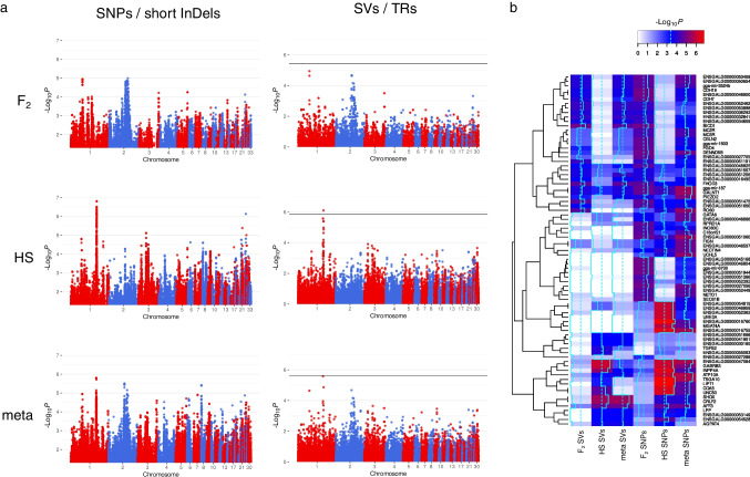 Structural variation and eQTL analysis in two experimental populations of chickens divergently selected for feather-pecking behavior.