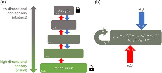 Modelling perception as a hierarchical competition differentiates imagined, veridical, and hallucinated percepts.