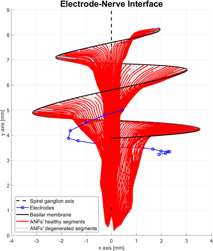 A computational model to simulate spectral modulation and speech perception experiments of cochlear implant users.