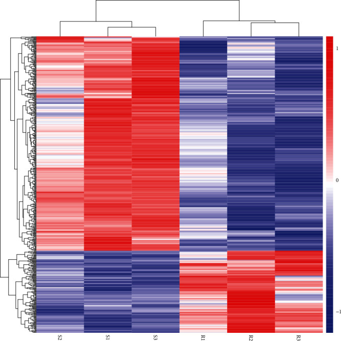 Transcript Characteristics on the Susceptibility Difference of Bovine Respiratory Disease.