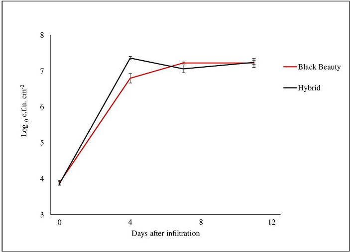 Draft genome sequences of 11 <i>Xanthomonas</i> strains associated with bacterial spot disease in Turkey.