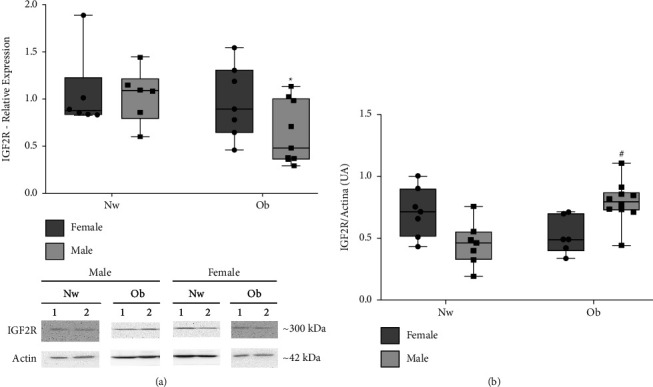 DHA Supplementation during Pregnancy in Women with Obesity Normalizes IGF2R Levels in the Placenta of Male Newborns.