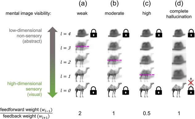 Modelling perception as a hierarchical competition differentiates imagined, veridical, and hallucinated percepts.