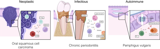 Towards multiomic analysis of oral mucosal pathologies.