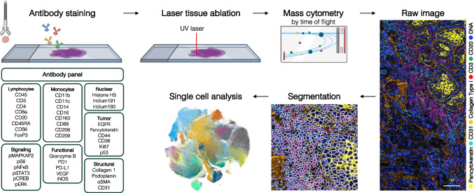 Towards multiomic analysis of oral mucosal pathologies.