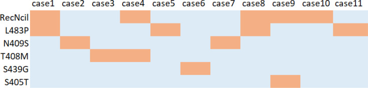 Mutational Analysis and Genotype Investigation of Less Known Gaucher Mutations through Haplotype Analysis in Iranian Gaucher Patients.