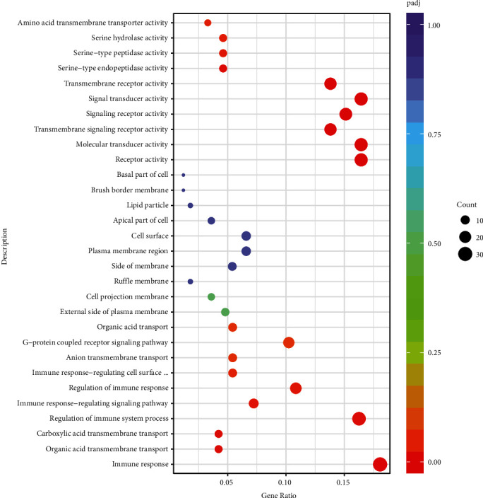 Transcript Characteristics on the Susceptibility Difference of Bovine Respiratory Disease.