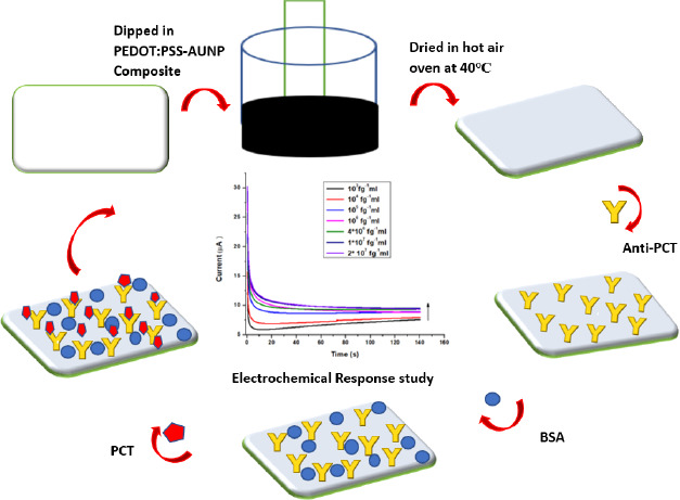 Development of conducting paper-based electrochemical biosensor for procalcitonin detection.