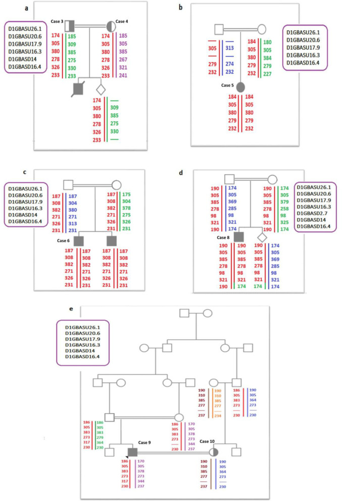 Mutational Analysis and Genotype Investigation of Less Known Gaucher Mutations through Haplotype Analysis in Iranian Gaucher Patients.