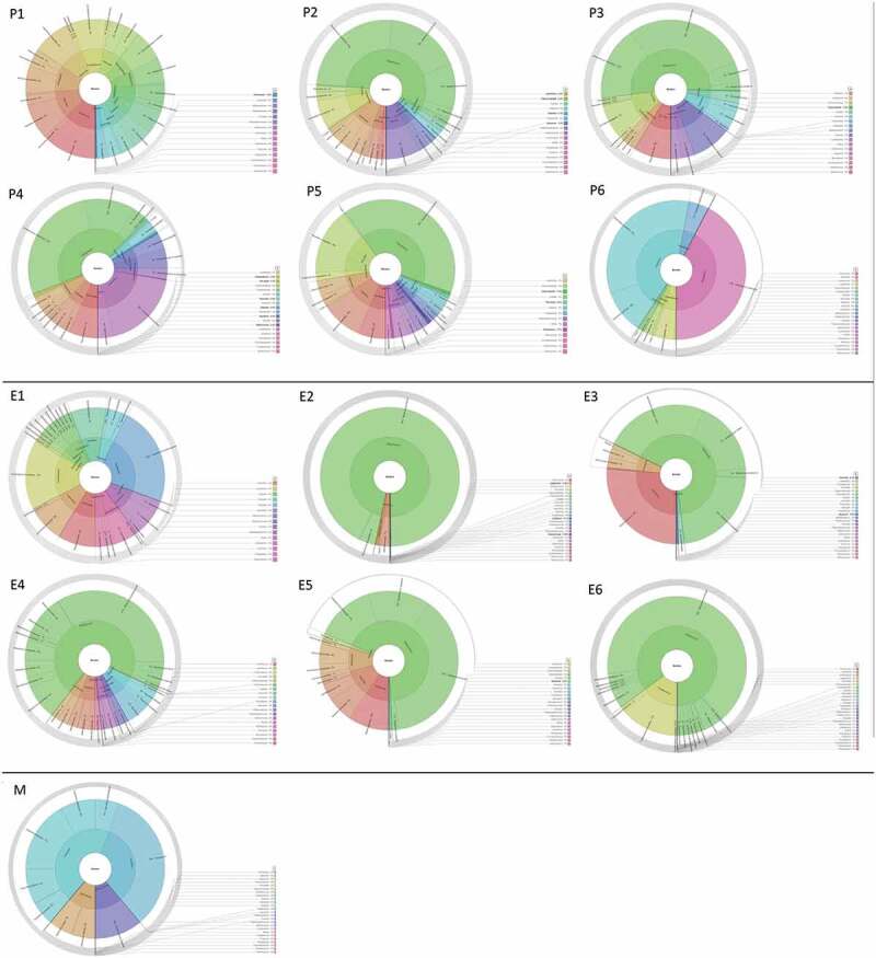 Analysis of oral microbiota in non-vital teeth and clinically intact external surface from patients with severe periodontitis using Nanopore sequencing: a case study.