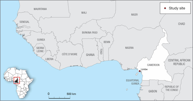 Understanding change, complexities, and governability challenges in small-scale fisheries: a case study of Limbe, Cameroon, Central Africa.