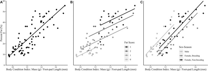 Estimating fat content in barred owls (<i>Strix varia</i>) with predictive models developed from direct measures of proximate body composition.