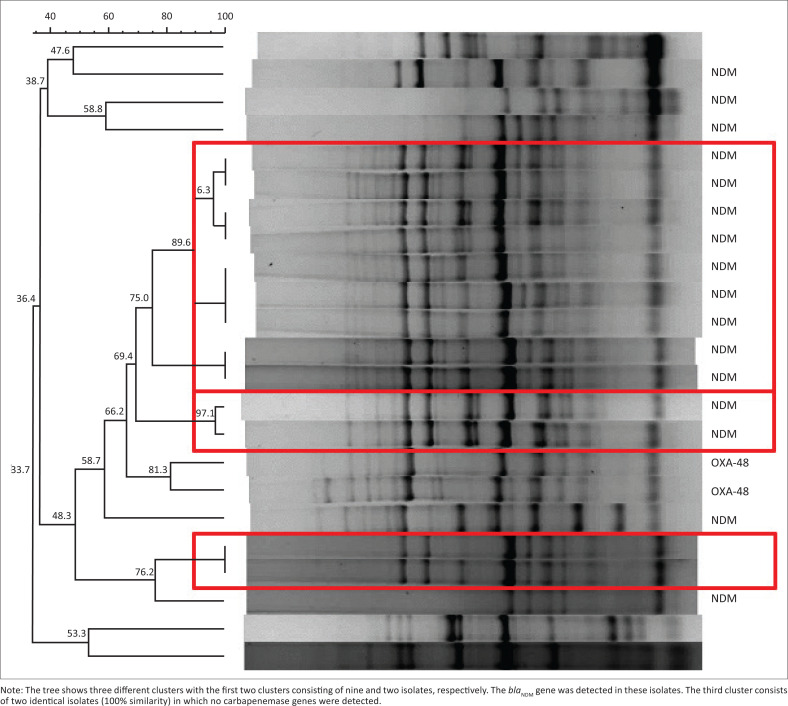 Colistin use in a carbapenem-resistant <i>Enterobacterales</i> outbreak at a South African neonatal unit.