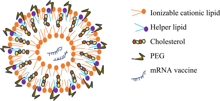 Recent Advances in Messenger Ribonucleic Acid (mRNA) Vaccines and Their Delivery Systems: A Review.